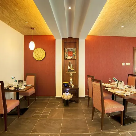 Raviz Center Point Hotel-2
