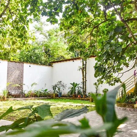 Green House Tarapoto-2