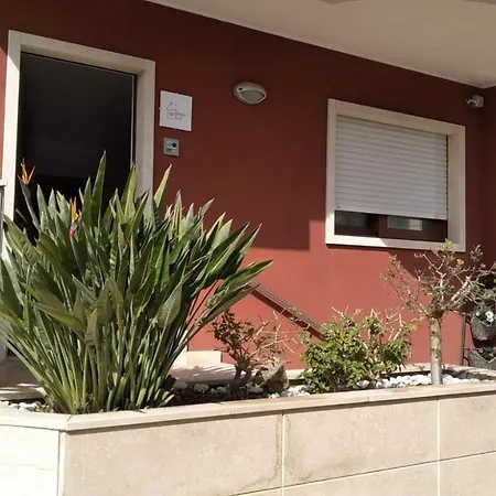 Domus B&B-3