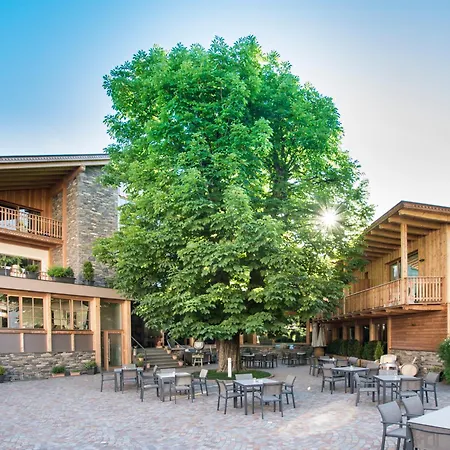 Hotel Gasthof Höllriegl-2