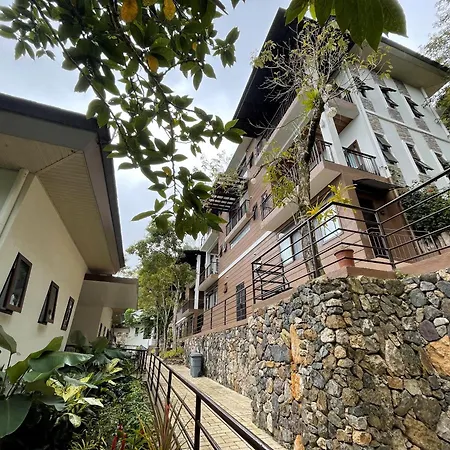 Mist Mountain Resort Powered By Cocotel-3