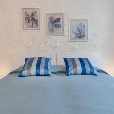 Domus Color-2