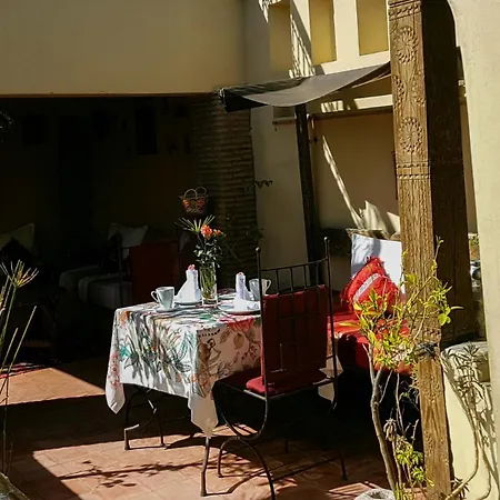 Riad Gallery 49 & Spa-3