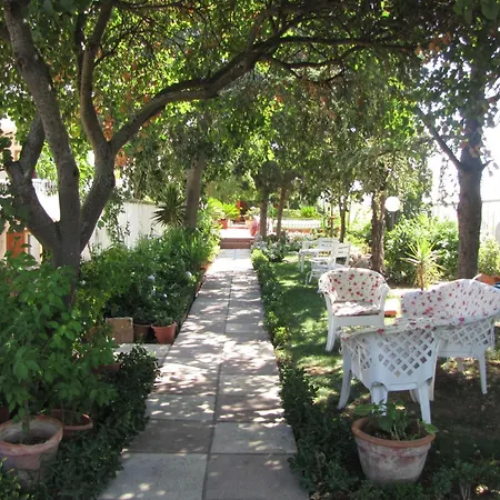 B&B Solacium-2