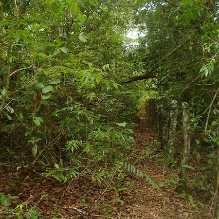 Pousada Jardim da Chapada-3