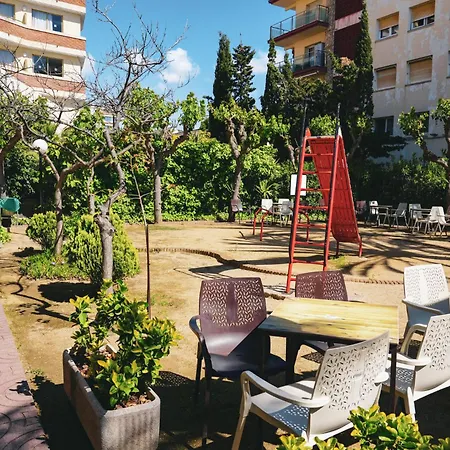 Htopfun Royal Sun-2