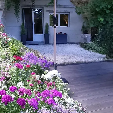 Le clos des violettes-2