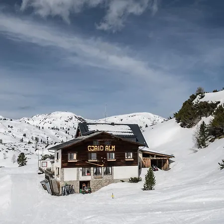 Gjaid-Alm 1739M Am Dachstein-Only Accessible By Cable Car-2