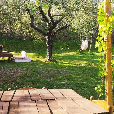 La Casa Tra Gli Ulivi-2