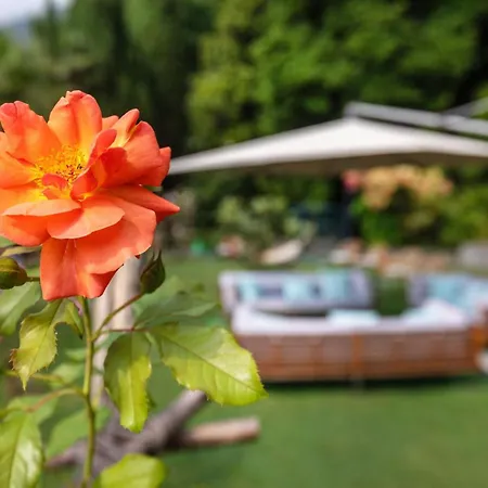 Parkhotel Brenscino Brissago-2
