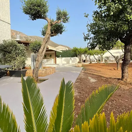 Olea-3