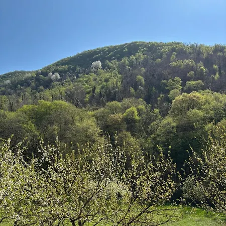 Biancogelso B&B Vegan-2