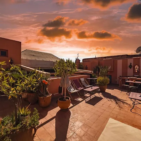 Riad Lauriers Blancs-3