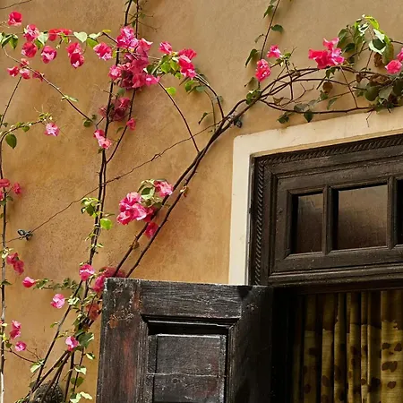 Riad Bamileke-3