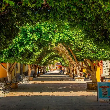 Hotel Santa Fe Loreto By Villa Group-2