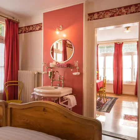 Historic Hotel Falken-3