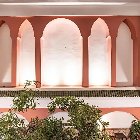 Riad Taghia-3