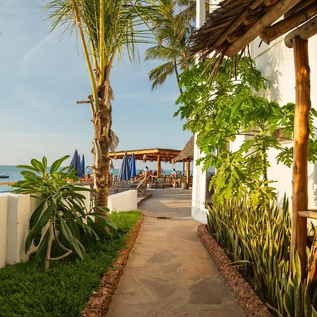 Dhow Beach Boutique Hotel-3