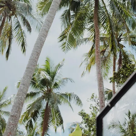 PALM Hotel-2