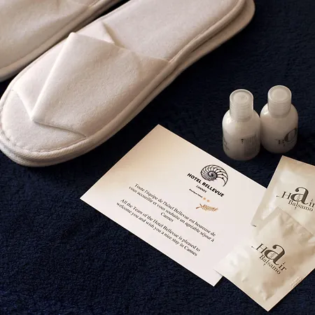 Hotel Bellevue Cannes-3