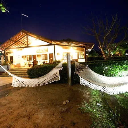 Dolphin Hotel-3