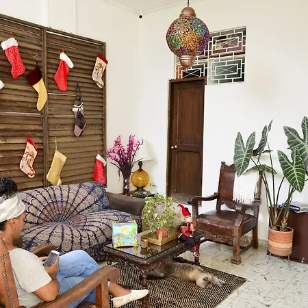 Magic Garden House-3