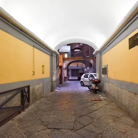 Domus Borbonica-2