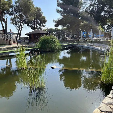Hotel El Cisne-3