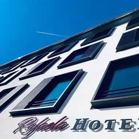Rafaela Hotel Heidelberg-3