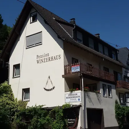 Hotel Pension Winzerhaus-3