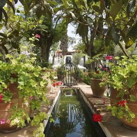 Caribbean Village Agador - All inclusive-2
