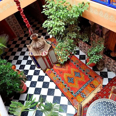 Riad Konouz-3