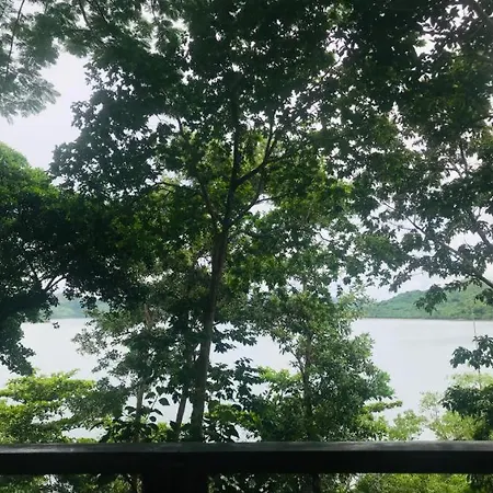 Discovery Island Resort-2