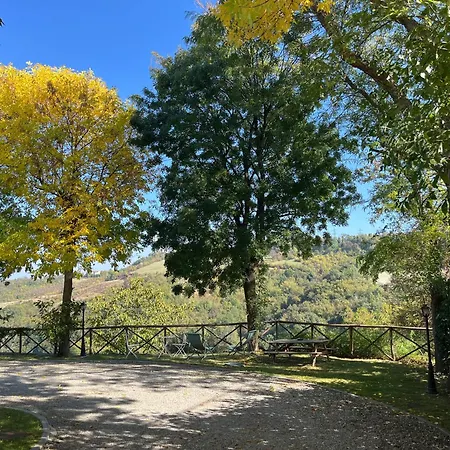 Antico Podere San Luca - Bed&Breakfast-3