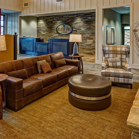Black Fox Lodge Pigeon Forge, Tapestry Collection By Hilton-2