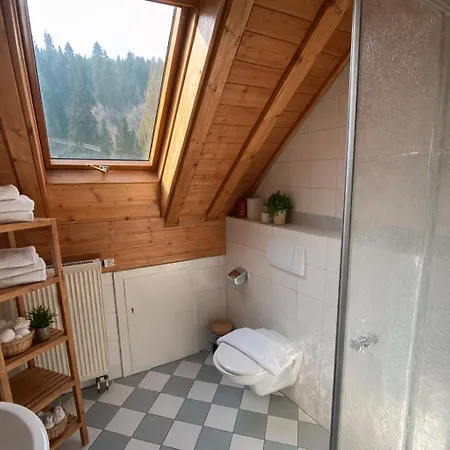 Self-check-in Ferienwohnungen&Apartments am Bergsee-2