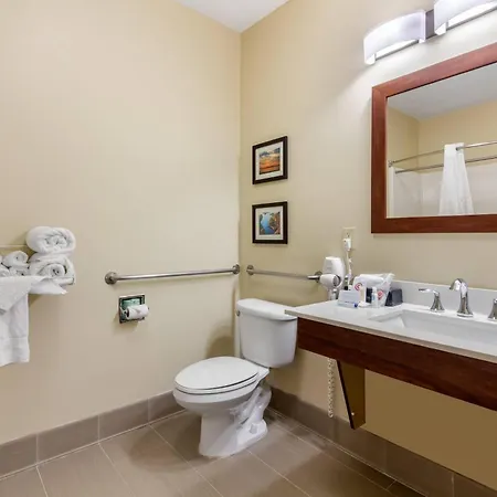 Comfort Inn & Suites Mccomb-3