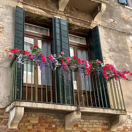 Lions Venice Guest house-3
