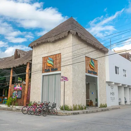 Collection O Kaab Downtown Tulum-2