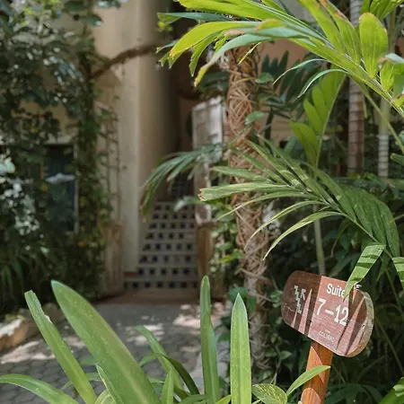 Hotel Casa Colibri-2