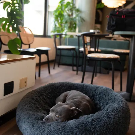 Hotel Ombra-2