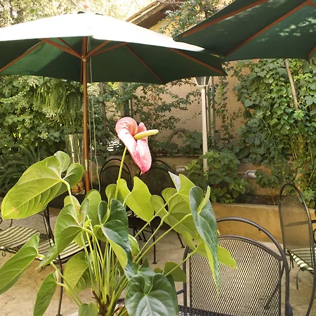 Hotel Villa Delle Rose-3