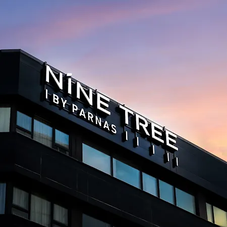 Nine Tree By Parnas Seoul Myeongdong 1-3