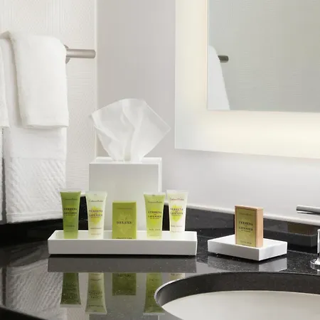 Hilton Atlanta-2