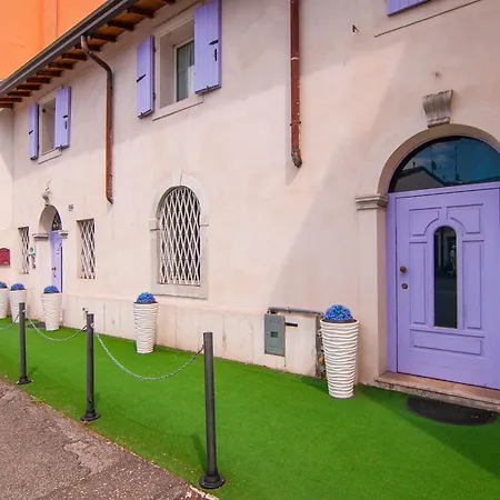 Kedimore - Suite Color House-2
