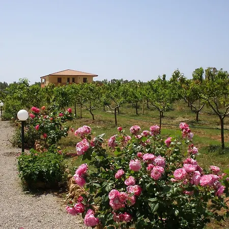 Bed And Breakfast Le Camelie-3
