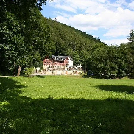 Hotel Forsthaus-3