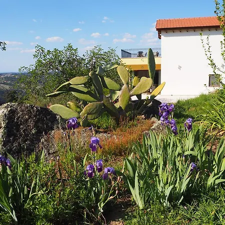 Quinta Vale Porcacho-2