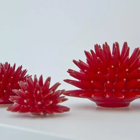 Il Corallo-3