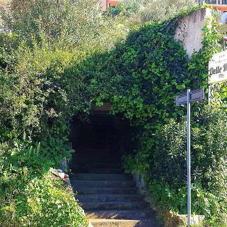 Delle Rose-3